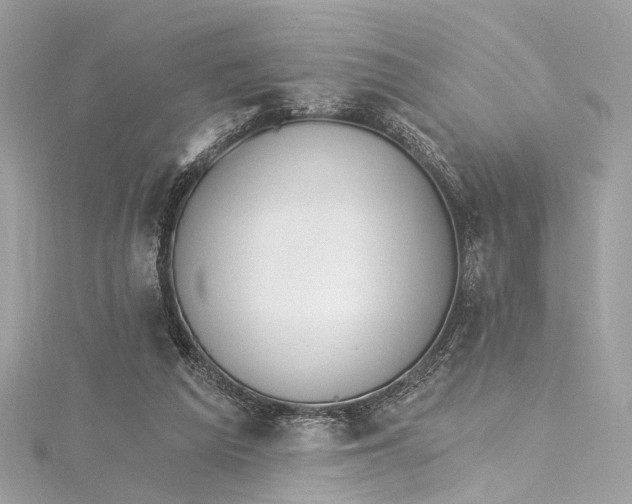 X0000115650209200912011529