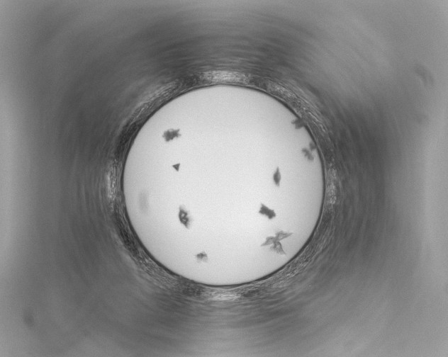 X0000115650210200912011529