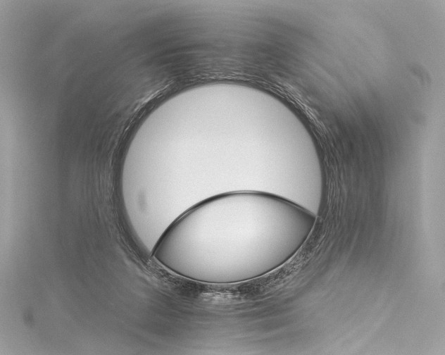 X0000115650211200912011529