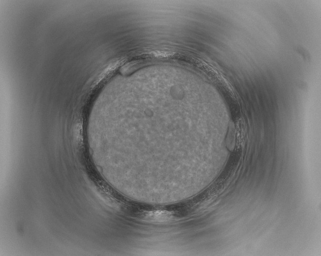 X0000115650212200912011529