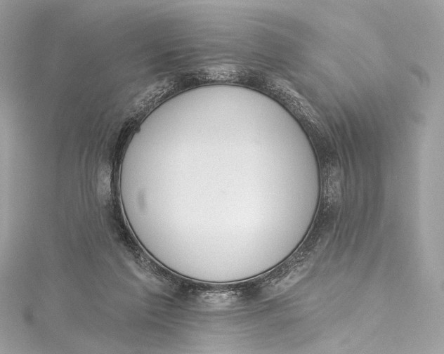 X0000115650213200912011529