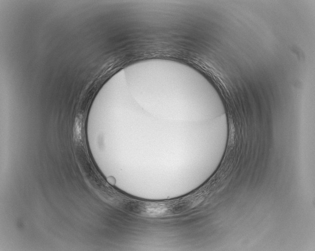 X0000115650214200912011529