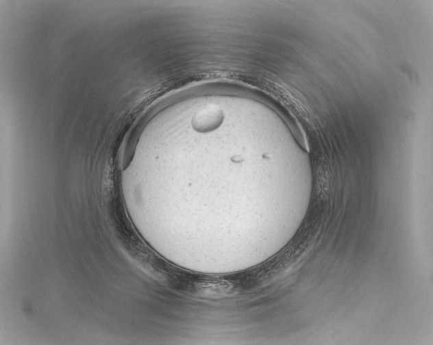 X0000115650215200912011529