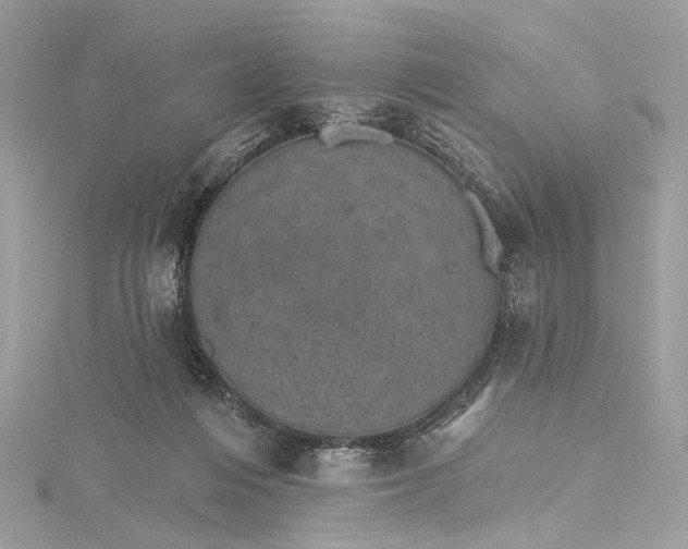 X0000115650216200912011529