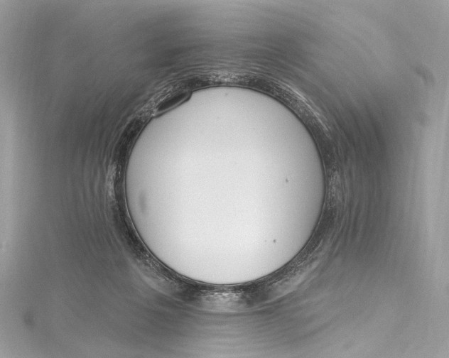 X0000115650217200912011529