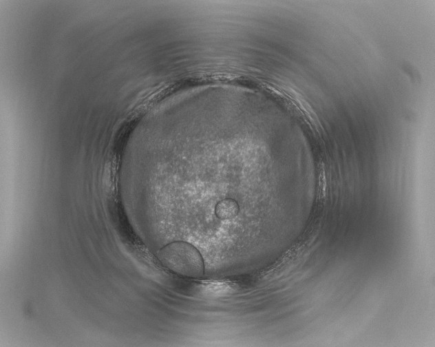 X0000115650218200912011529