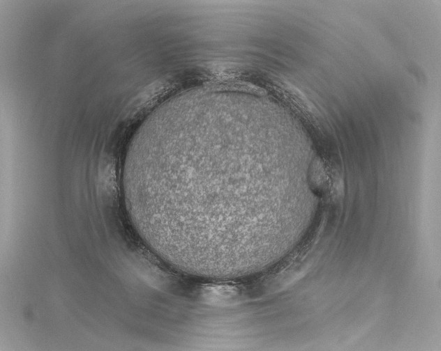 X0000115650220200912011529