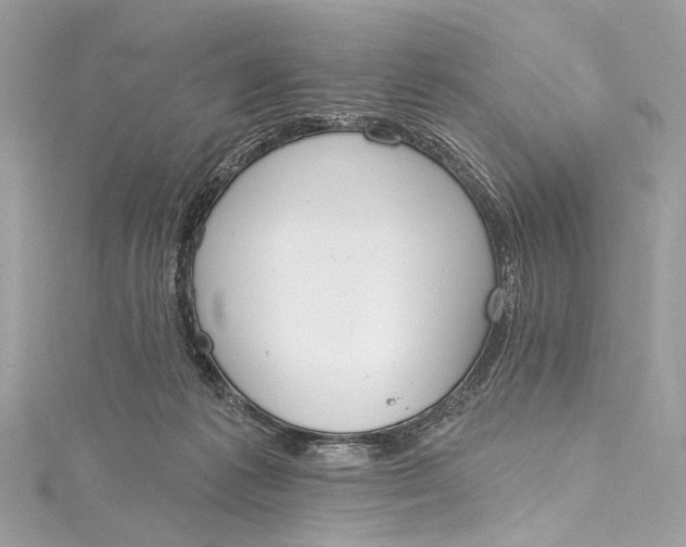 X0000115650221200912011529