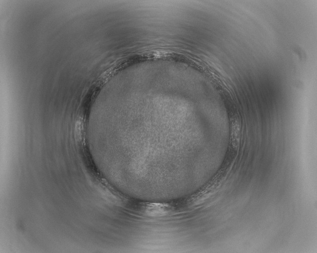 X0000115650222200912011529