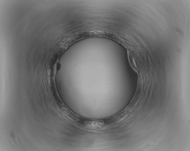 X0000115650223200912011529