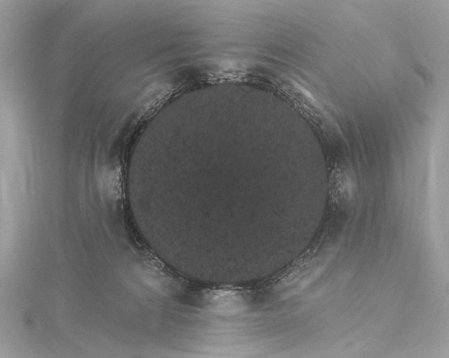 X0000115650224200912011529