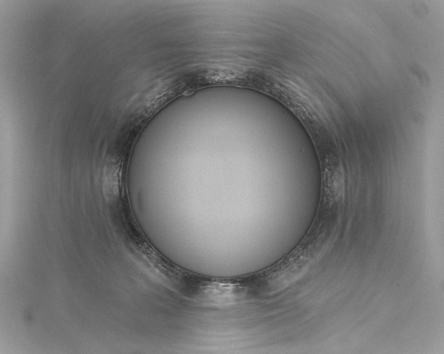 X0000115650227200912011529