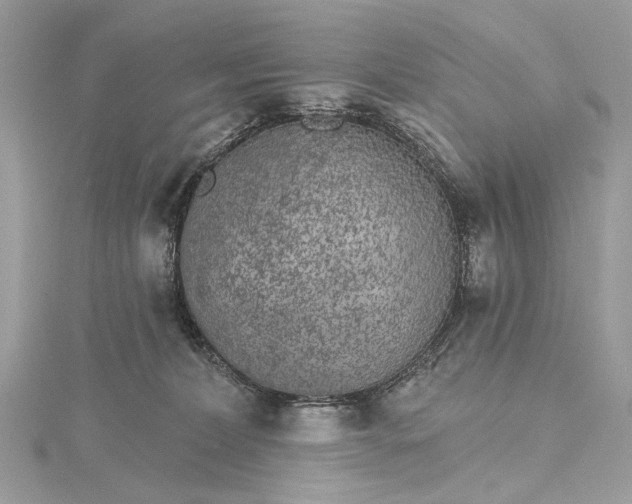 X0000115650228200912011529