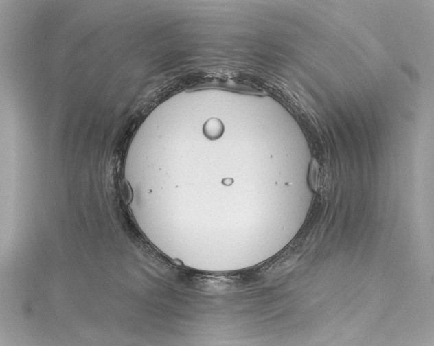 X0000115650229200912011529