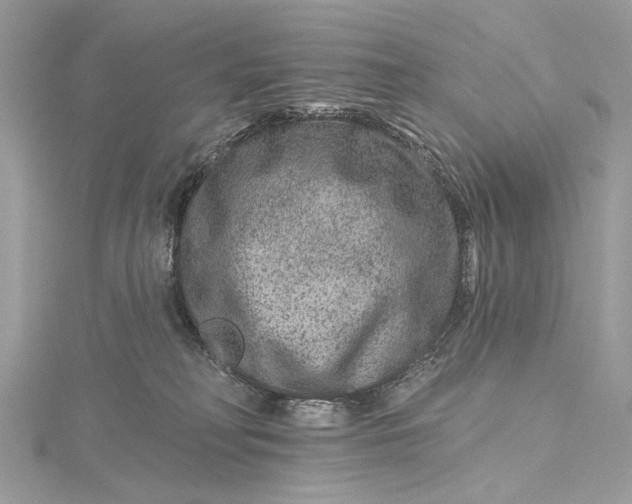 X0000115650230200912011529