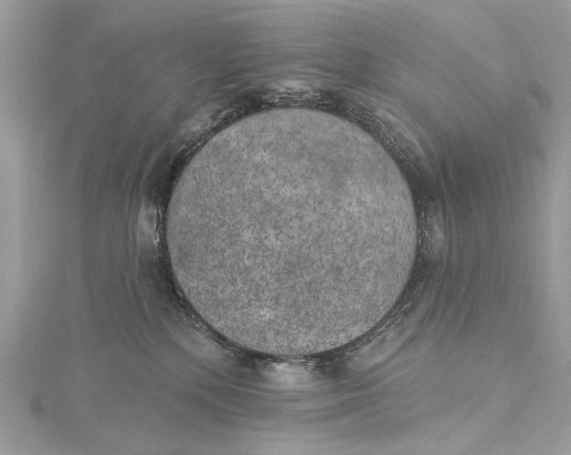 X0000115650232200912011529