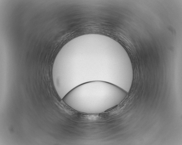 X0000115650233200912011529