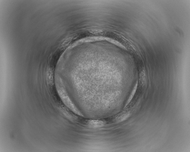 X0000115650234200912011529