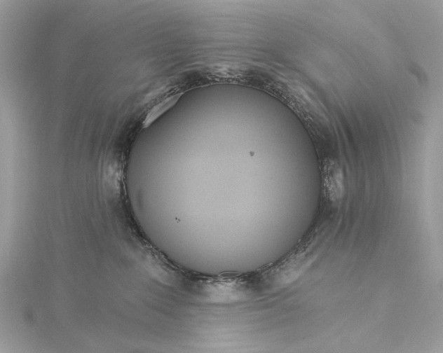 X0000115650235200912011529