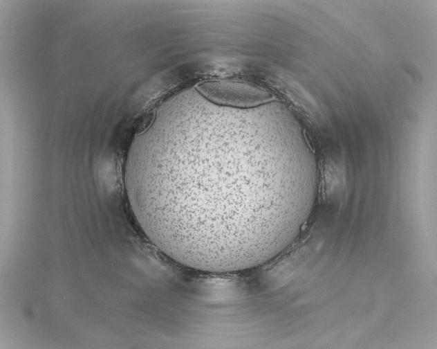 X0000115650236200912011529