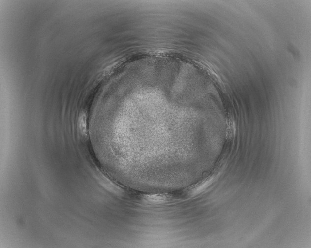 X0000115650238200912011529