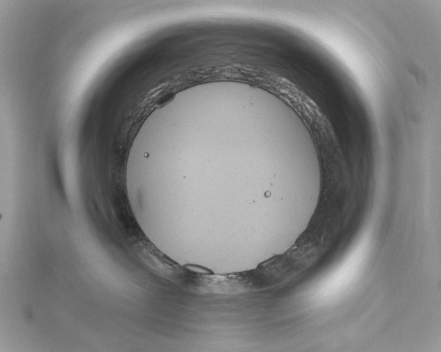 X0000115650239200912011529