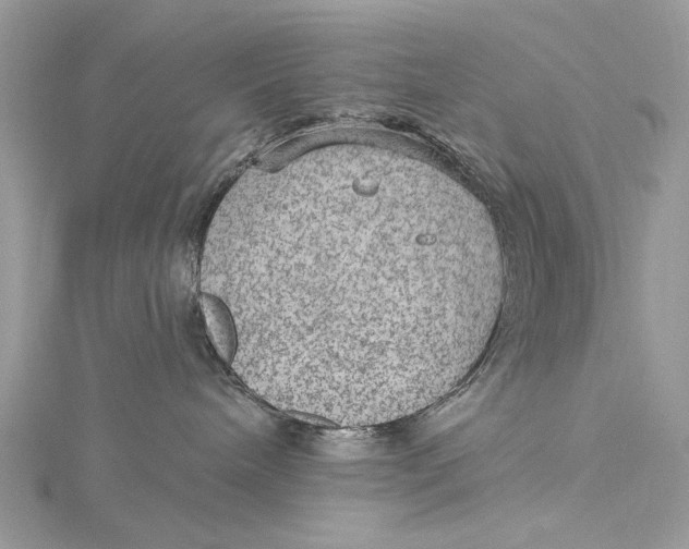 X0000115650240200912011529