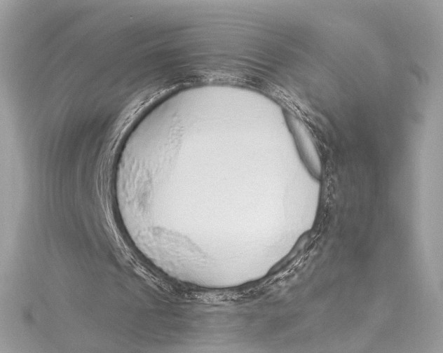 X0000115650241200912011528