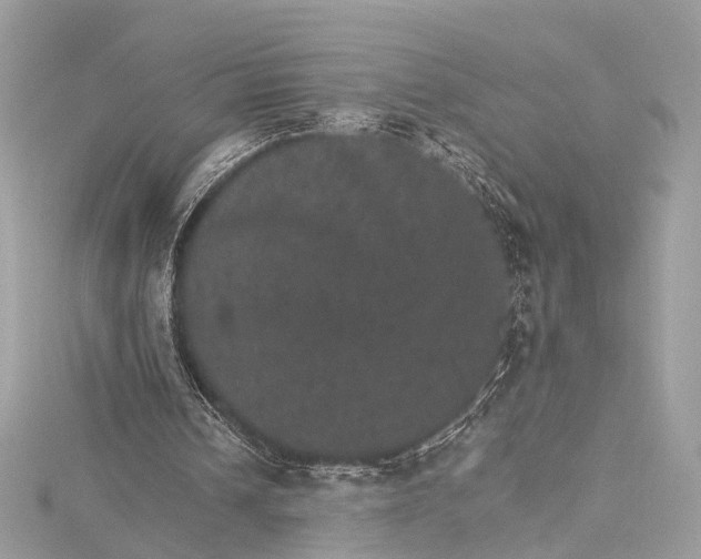 X0000115650242200912011528