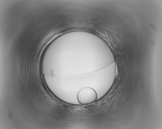 X0000115650243200912011528