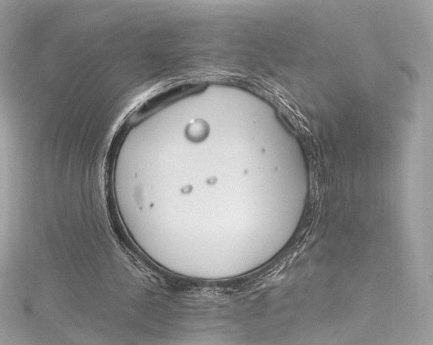 X0000115650244200912011528