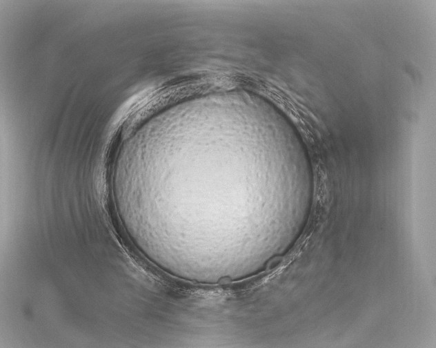 X0000115650245200912011528