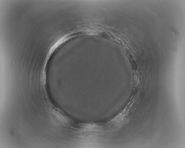 X0000115650246200912011528