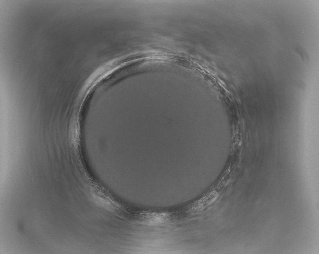 X0000115650247200912011528