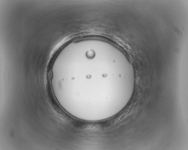 X0000115650248200912011528