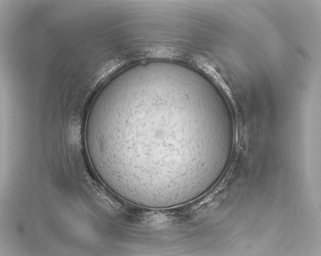 X0000115650249200912011528