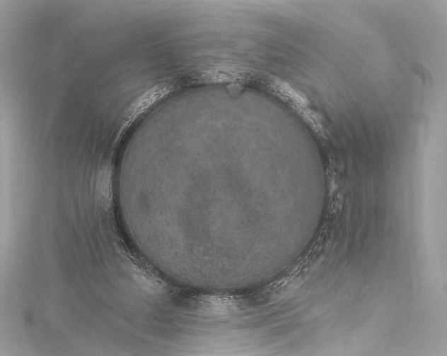 X0000115650250200912011528