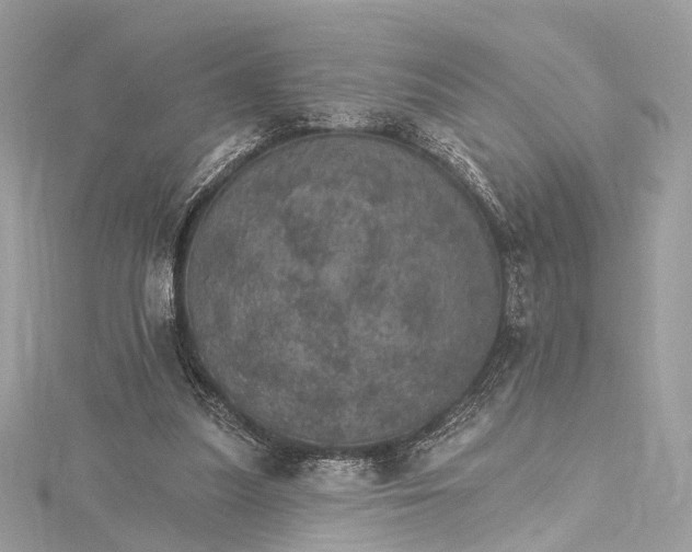 X0000115650251200912011528