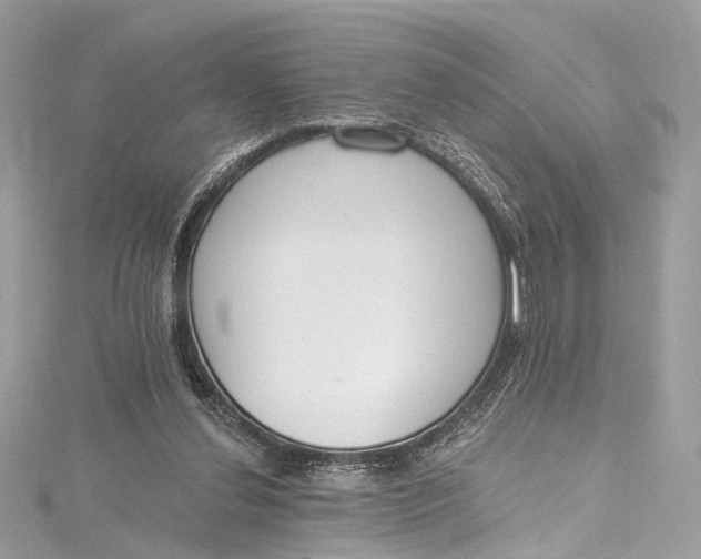 X0000115650252200912011528