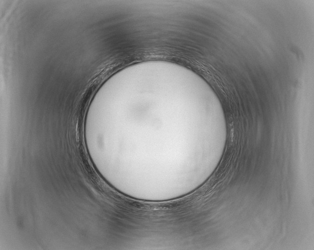 X0000115650254200912011528