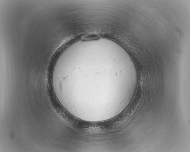 X0000115650256200912011528