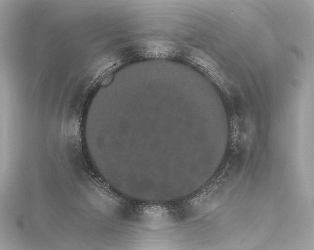 X0000115650258200912011528