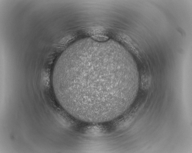 X0000115650259200912011528