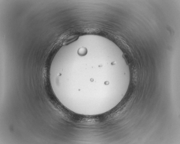 X0000115650260200912011528