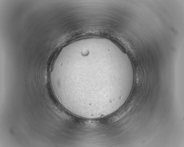 X0000115650261200912011528