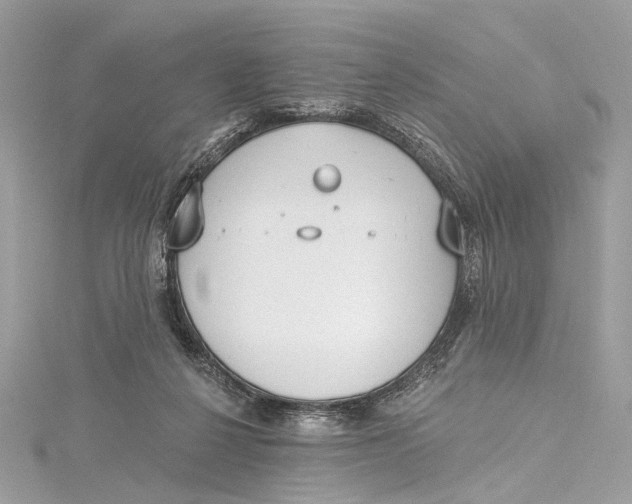 X0000115650264200912011528