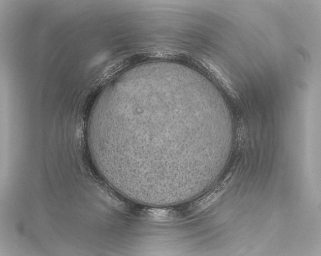 X0000115650265200912011528