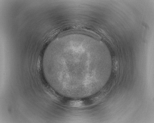 X0000115650266200912011528