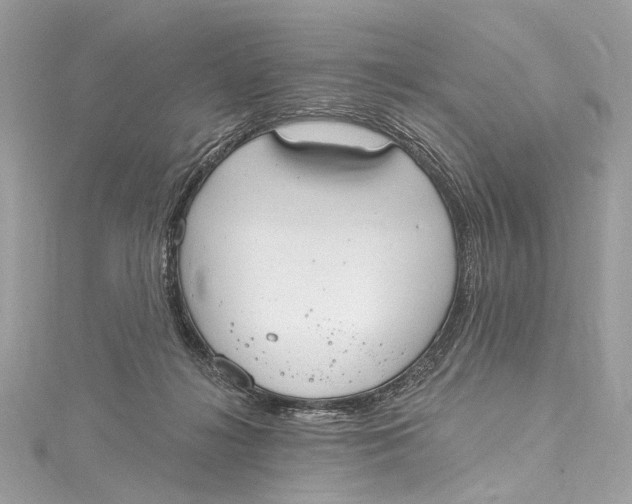 X0000115650268200912011528