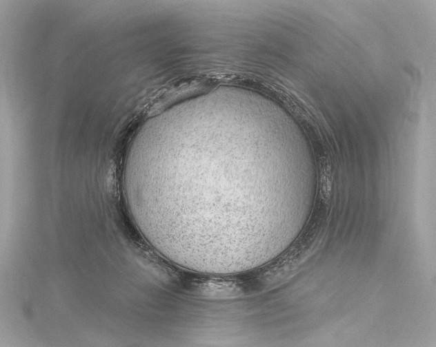 X0000115650270200912011528